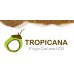Кокосовый шампунь для сухих и слабых волос Черный рис от Tropicana (250 мл)
