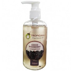 Кокосовый шампунь для сухих и слабых волос Черный рис от Tropicana (250 мл)
